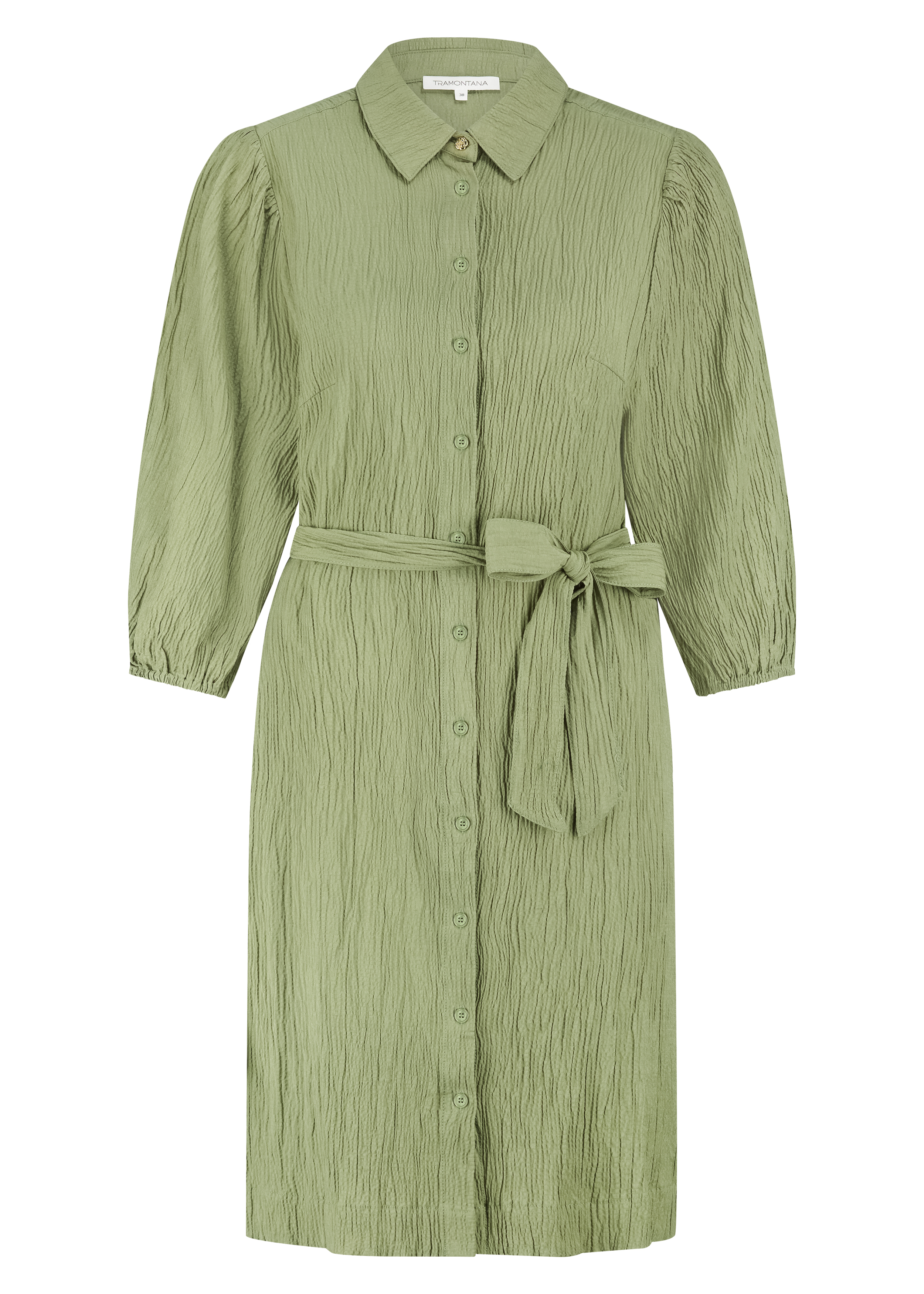 C30-19-501_aloe_front